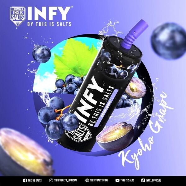 พอต infy องุ่นเคียวโฮ-พอตใช้แล้วทิ้ง เชียงใหม่