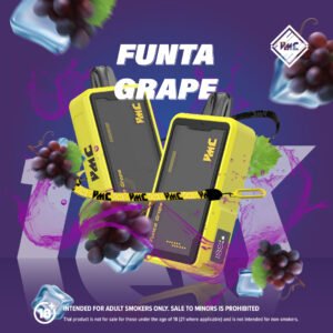 บุหรี่ไฟฟ้าเชียงใหม่-พอตใช้แล้วทิ้ง-vmc12k-funta grape